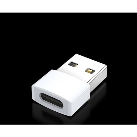 Vit USB C-hona till USB-hane-adapter, snabbladdning och dataöverföring, adapter för iPhone 12/13