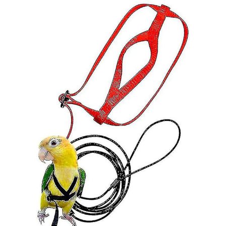 Papegøye sele med bånd for utendørs flyging, justerbar anti-bite treningsreim