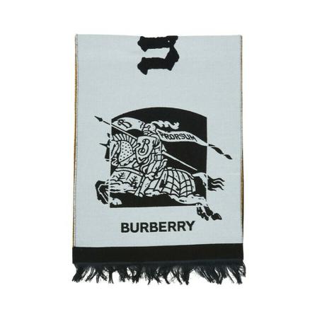 Burberry, Winter Scarves Wit, Heren, Maat:ONE Size