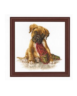 Stickpackung Bild Boxer