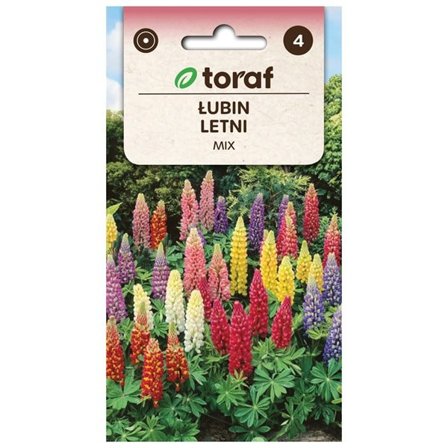 Frö till sommarlupin Mix – Färgsprakande spiror för rabatter och snittblommor