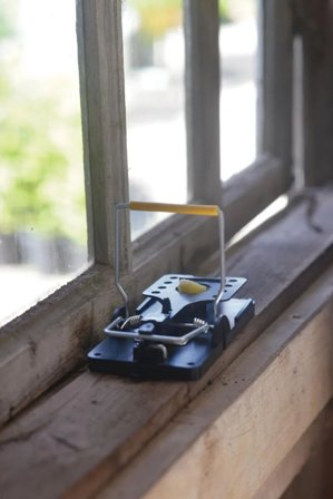 Nelson Garden 8647 Rottefelle, Dyr & stell