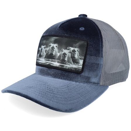 Calza Pennello - Grå trucker Caps - Gang Of Capybara Patch Velvet Grey Trucker @ Hatstore