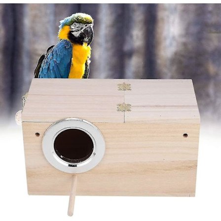 Blomsterarrangement Fixeringsværktøj Fuglerede Blomstergren Fix Mesh Grid Divider Til Hjemme Blomstergrene Nem modellering