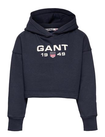 D1. Gant Retro Shield Hoodie Blue GANT