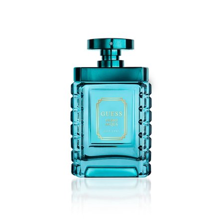 Guess Uomo Acqua Eau de Toilette 100 ml, Parfumer & Dufte, Til Hende, Eau De Toilette