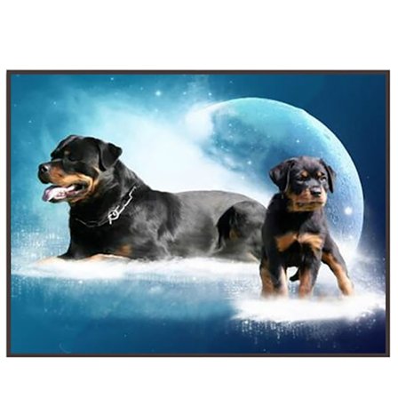 5D-timanttikirjonta DIY-koristemaalauksia kotiin