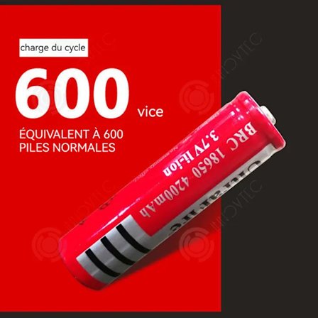 Bärbart Rött Batteri TD 18650 4200mAh 3.7V[D]