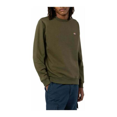 Dickies Sweatshirts & Hoodies Grøn, Herre