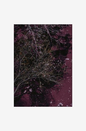 Malerifabrikken - Juliste River of wine - Punainen - Julisteet - - Homeroom