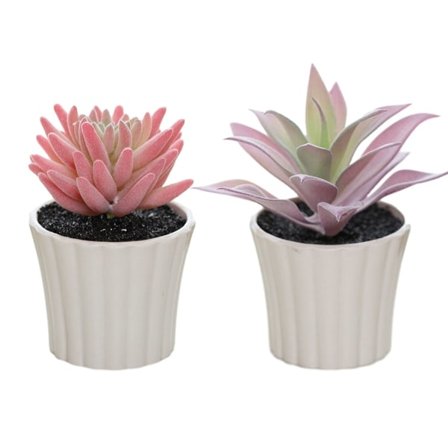 2 st mini suckulenta kombinationskruka kreativa små prydnader