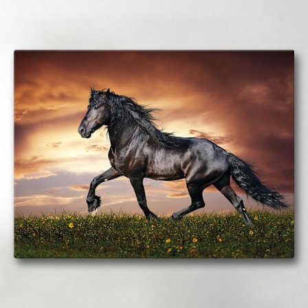 Lerretsbilde / Bilde - Hest - 40x30 cm - Lerret