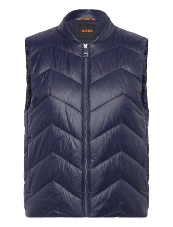 BOSS | C_Palattini | 40