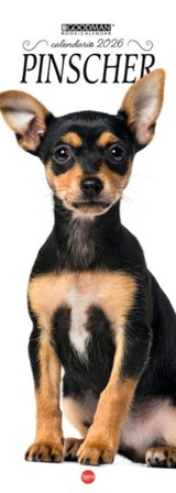 Pinscher. Calendario 2026. Long