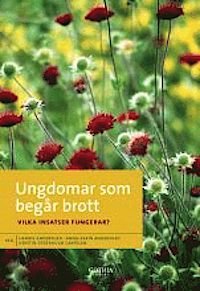 Ungdomar som begår brott : vilka insatser fungerar?, ISBN: 9789172056664