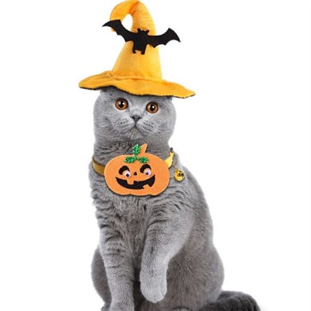 Katt Halloween kjæledyr kostyme et