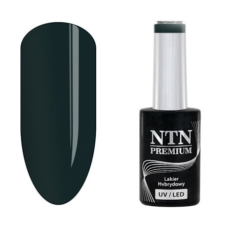 NTN Premium - Gel polish - After Midnight - Nr71 - 5g UV gel/LED