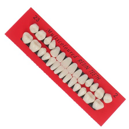 28-delad akrylhartsprotes övre och nedre nyans 23# A2 Dental