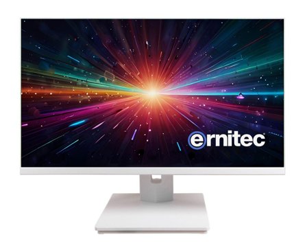 ERNITEC 27" Surveillance monitor