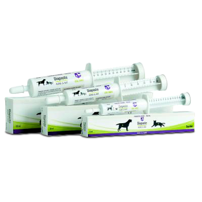 Diapaste Hund og Kat