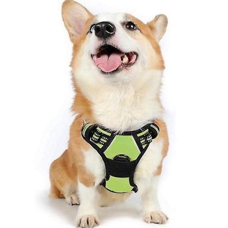 Hundsele No Pull Husdjurssele Justerbar Mjuk Vadderad Hundväst Husdjursselar Grön