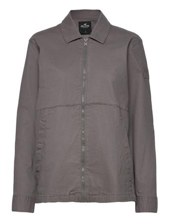 Hco. Guys Wovens Grey Hollister