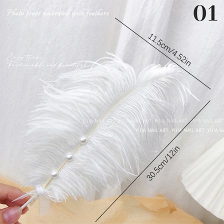 Nail Art -höyhennäyttöteline höyhenkoristehelmikoriste P