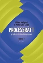 Processrätt: grunderna för domstolsprocessen