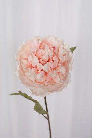 Specktrum Kunstig Blomst Peon Rosa H62