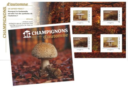 Frankrig - Svampe efterår 2025 - Postfrisk hæfte