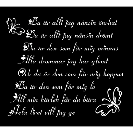 Väggord - Du är allt jag nånsin önskat..