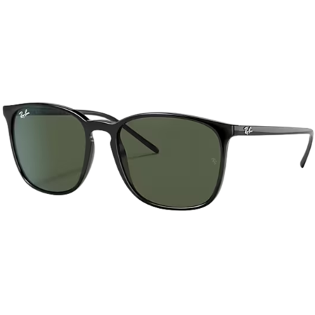 Ray-Ban RB4387 Black Dark Green