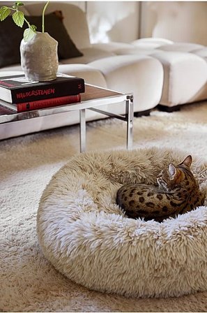 Jotex - Hundbädd/kattbädd Beige MANI - Köp Djurtillbehör hos Jotex