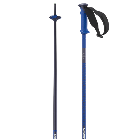 Salomon - Bastoncini da sci alpino Polar Pro - Race Blue