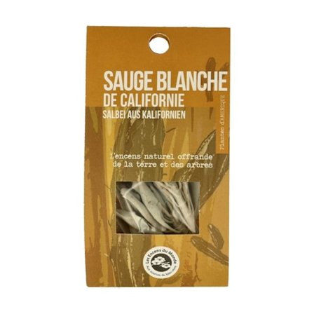 Kaliforniensalvia att bränna