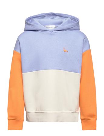 Colorblock Over D Hoody Patterned Tom Tailor