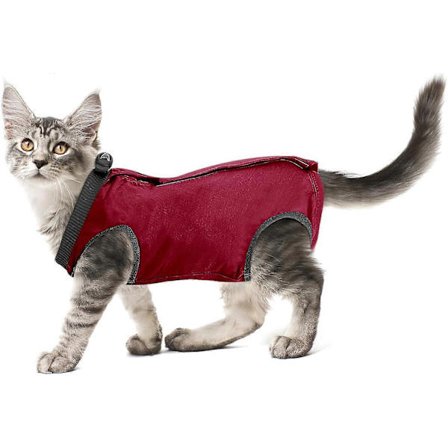 Professionell återhämtningsdräkt för katter för buksår eller hudsjukdomar, återhämtningsdräkt för kattungar efter operation, E-krage alternativ