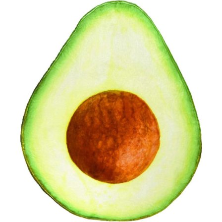 Trykt plysj avokadoteppe Myk flanell strandpiknikmatte Myk for hjem og reise 180*180cm