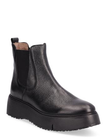 Wild Shoes Chelsea Boots Musta Wonders