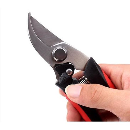 Dww-Professionella beskärningssaxar i överlägset kolstål, skarpa bypass-saxar - jo0001, svart och röd