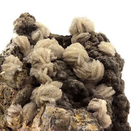 Stenar och mineraler. Baryt + Pyrit. 2450,0 cent. Saint-Laurent-le-Minier, Occitanie, Frankrike.