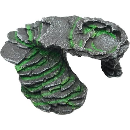 *Havssköldpadds skydd uteplats sköldpadda hål hud dekoration akvarium gömställe*