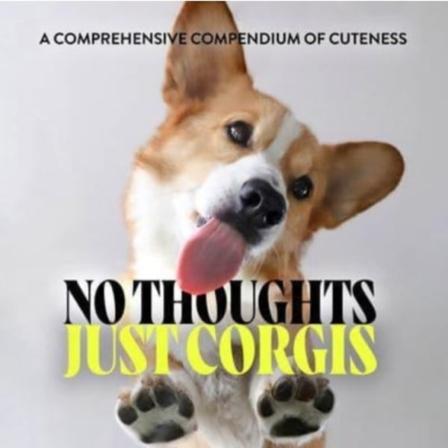 No Thoughts Just Corgis (inbunden, eng)