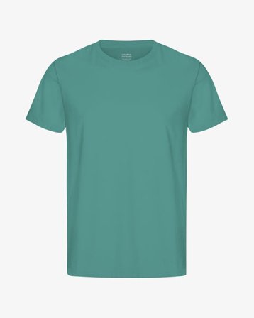 Classic Organic Tee - Pine Green - Male - 2XL