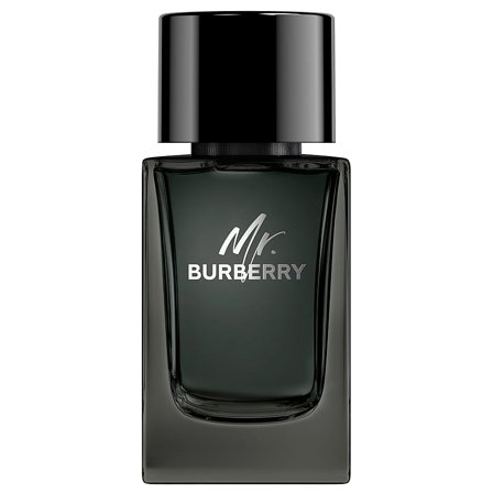 Burberry Mr Burberry Eau de Parfum 100 ml, Parfumer & Dufte, Eau De Parfum, Til Ham
