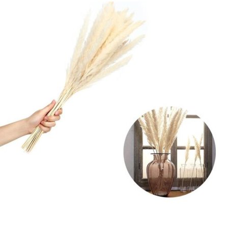 Pakke med 15 naturlige tørrede pampasgræs, dekorative tørrede pampasgræs