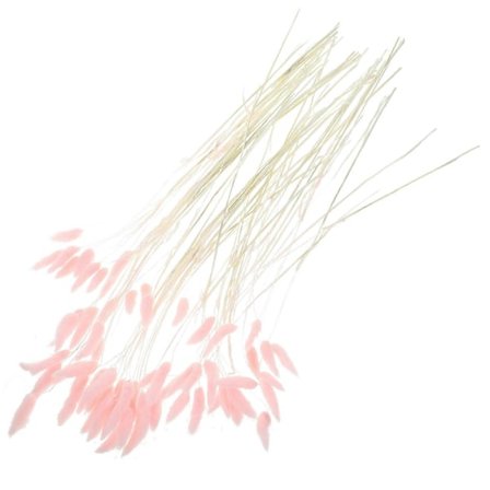 120 stk. Naturlig Tørket Harehale Gress Tørkede Gress Stilker Kaninhaler Gress for Hjemmedekorasjon