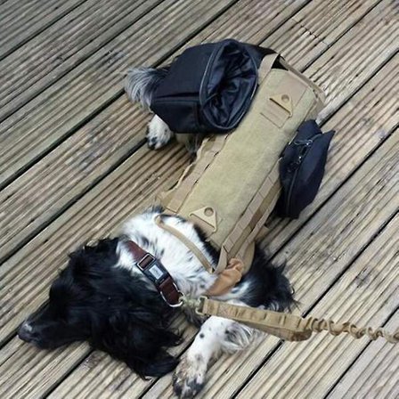 Taktiset sotilaskoiran vaatteet, kuormankantava harjoitusliivi