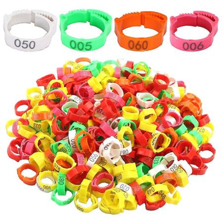 100 st kycklingfot ring justerbar storlek fjäderfä ben nummer tag spänne vit