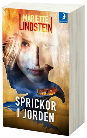 Sprickor i jorden - Bok av Mariette Lindstein - Pocket